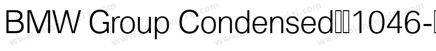 BMW Group Condensed梦祥1046字体转换